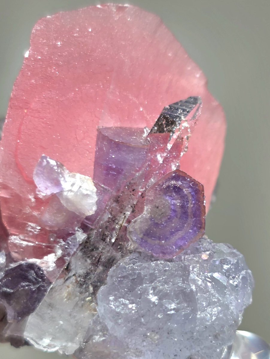 クロネコ tweet media