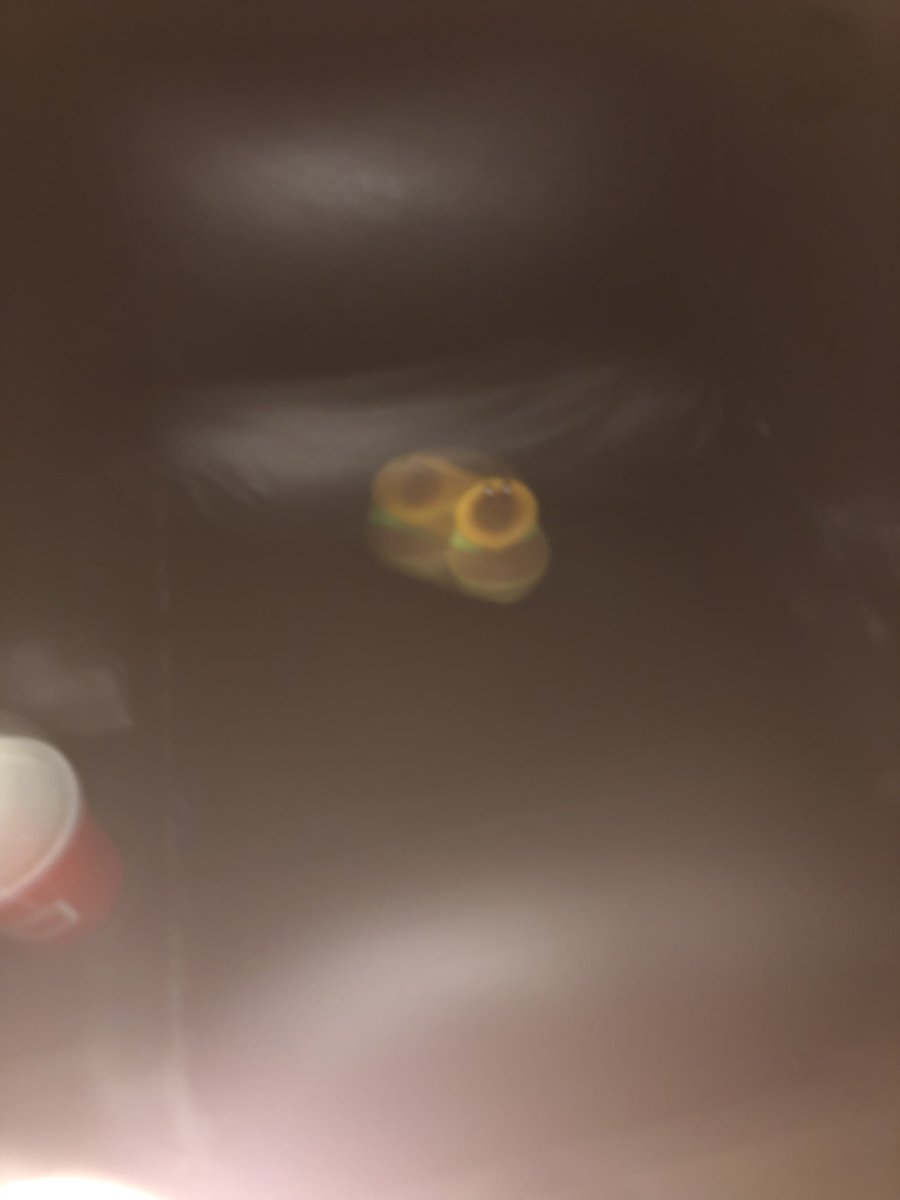 MarioKartWorldFan tweet media