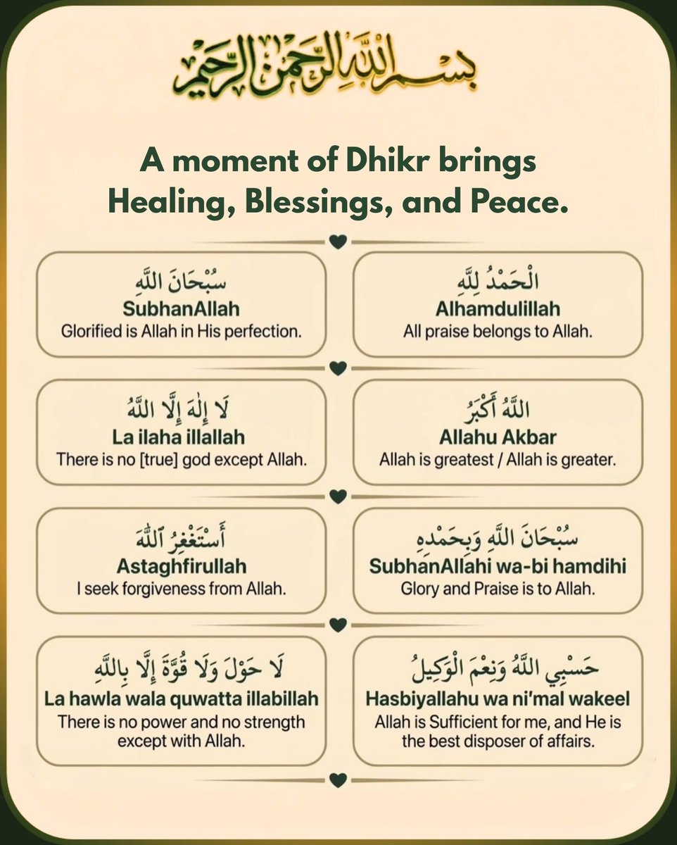 Haleema Abubakar🌹 tweet media