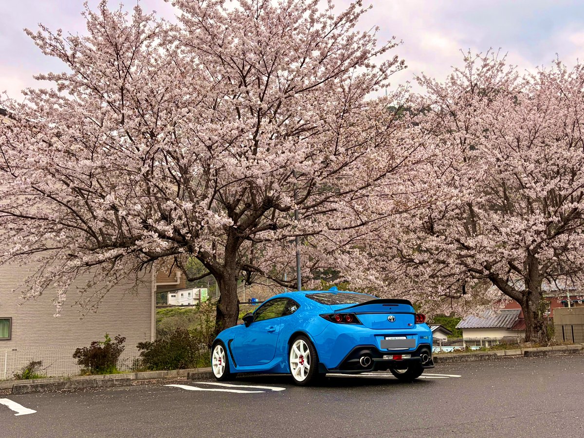 Simupydayo's tweet photo. 伊豆のファミマの駐車場が素晴らしすぎた https://t.co/WXauz7EMvR