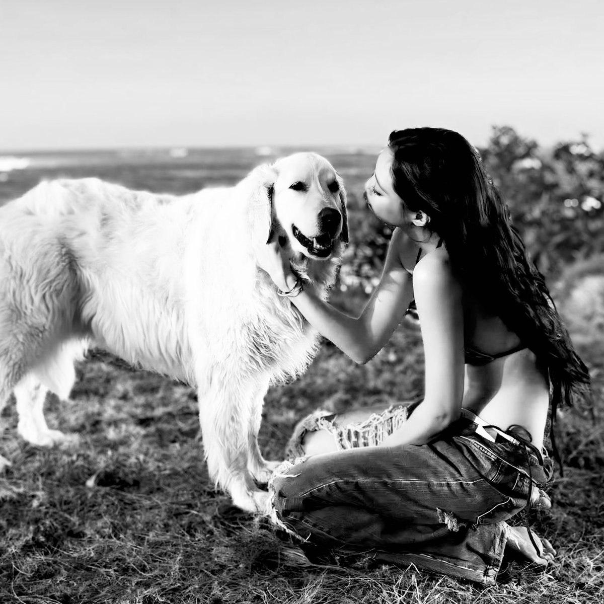 rubyȶoy tweet media