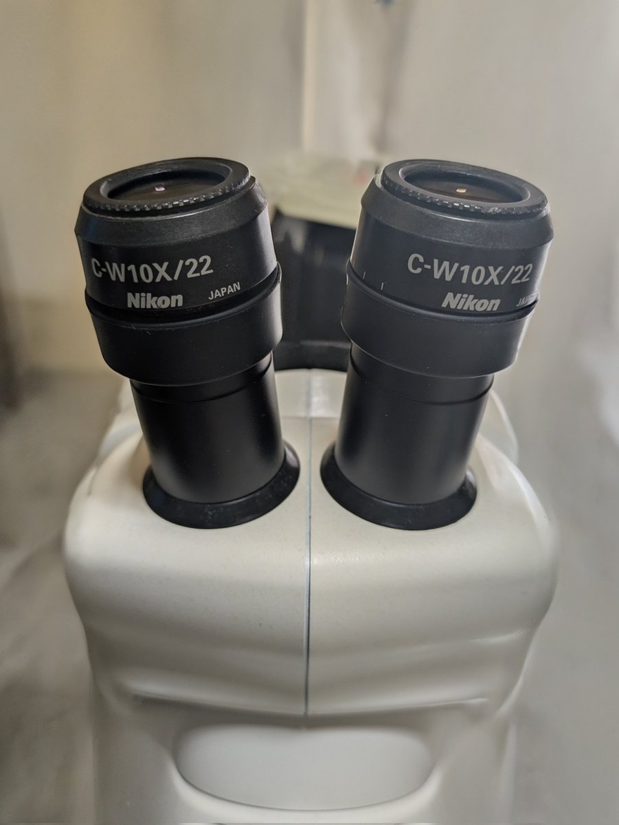 プッカ tweet media