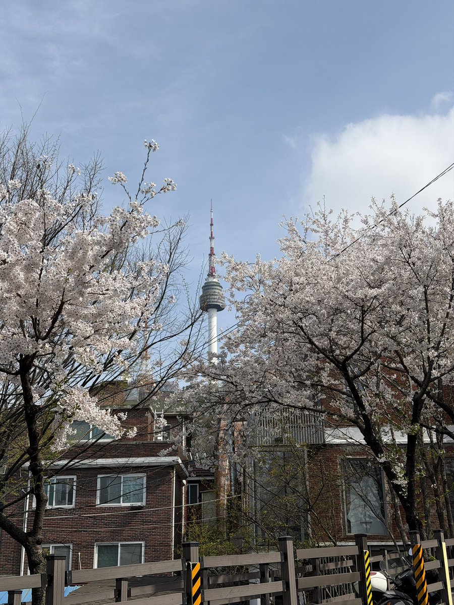 스토리지북앤필름 tweet media