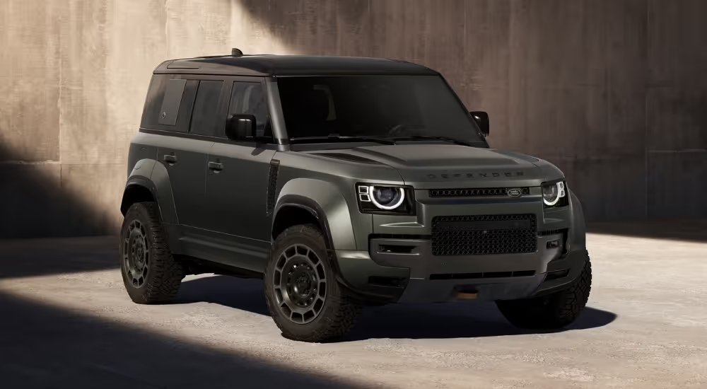 Weezy2945 (👑, 👑) tweet media