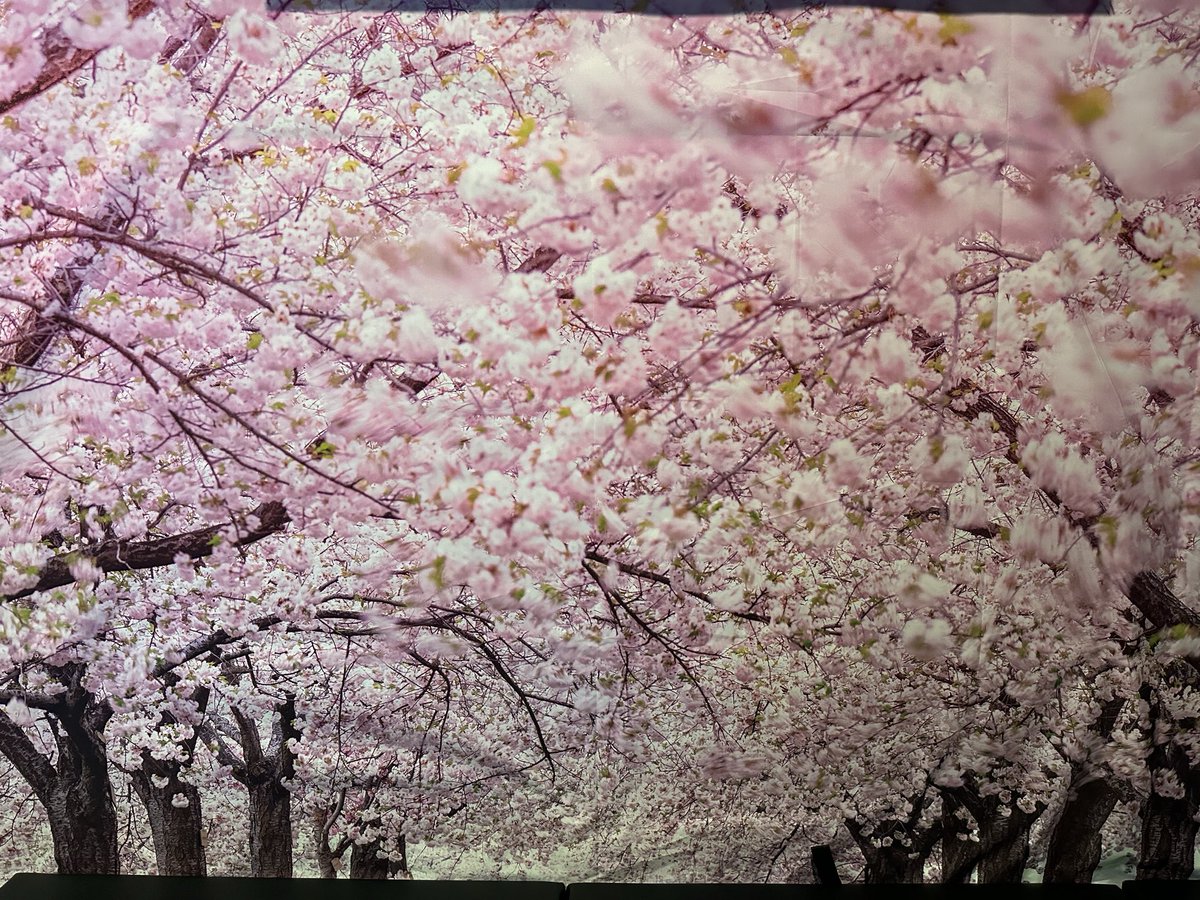 Bar LEGEND tweet media