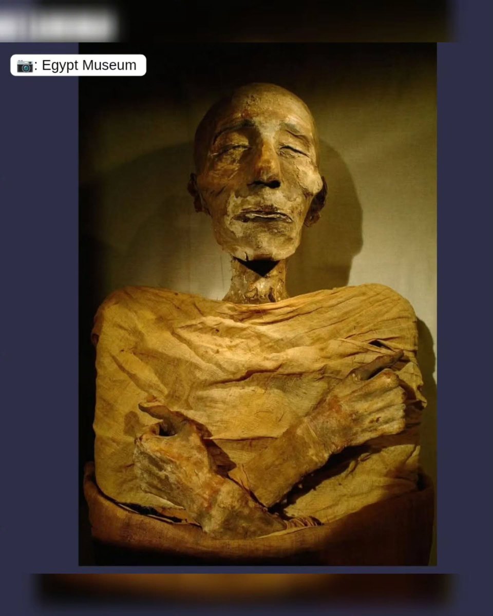 Racoon Entertainment tweet media