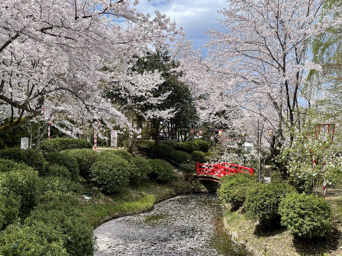 アメタク tweet media