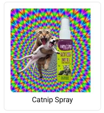 virando o gato louco de catnip spray de tanto estresse