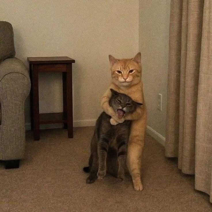 ᅠ ᅠ ᅠ ᅠ ᅠ٬٬ᅠ𝓪𝒎𝒆𝒕𝒉𝒚𝒔𝒕ᅠ 𝓹𝒆𝒂𝒓𝒍ᅠ. tweet media