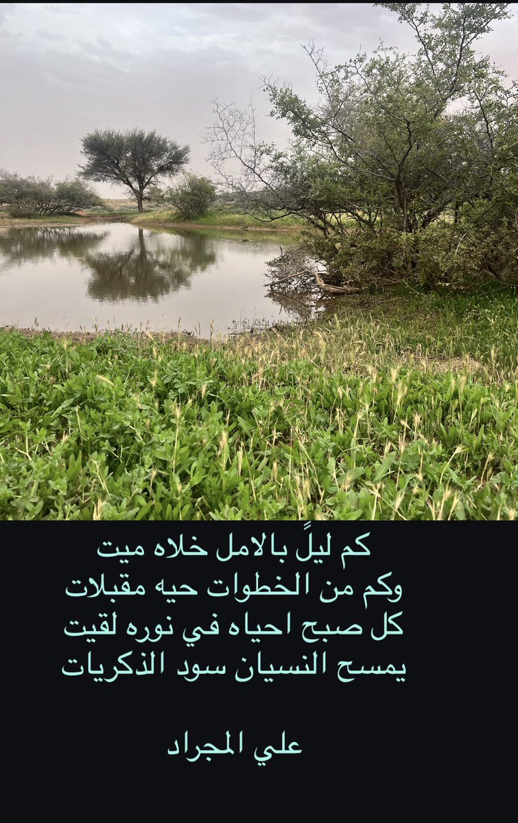 سلـطان المـطيري tweet media