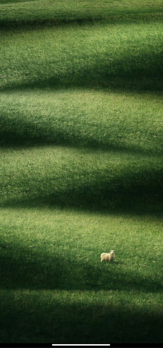 叮叮(互fo)💯💯💯 tweet media