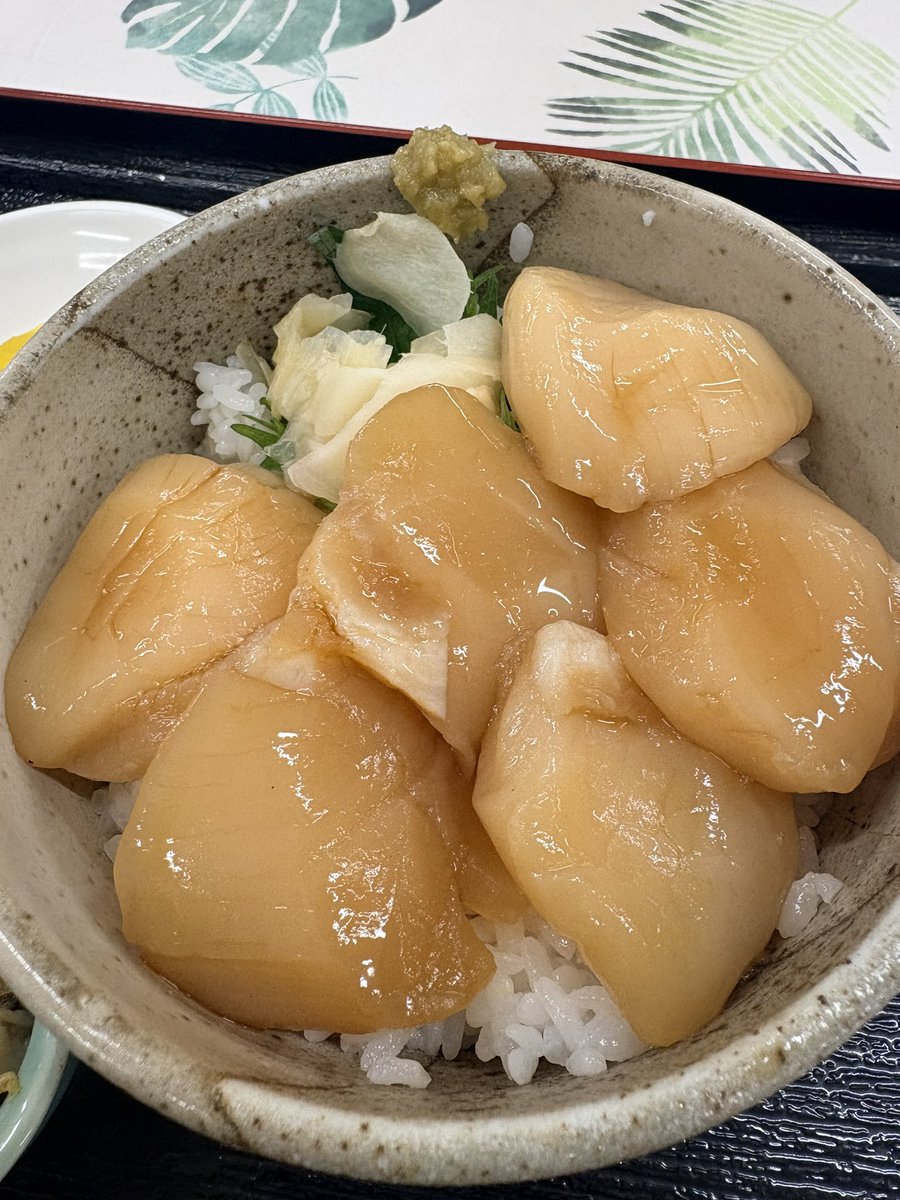 てらり🛵 tweet media