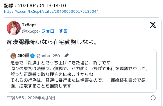 やぶさめり tweet media