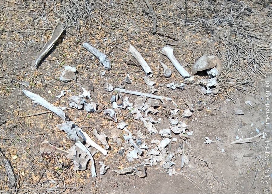 @PonchoAviles tweet media