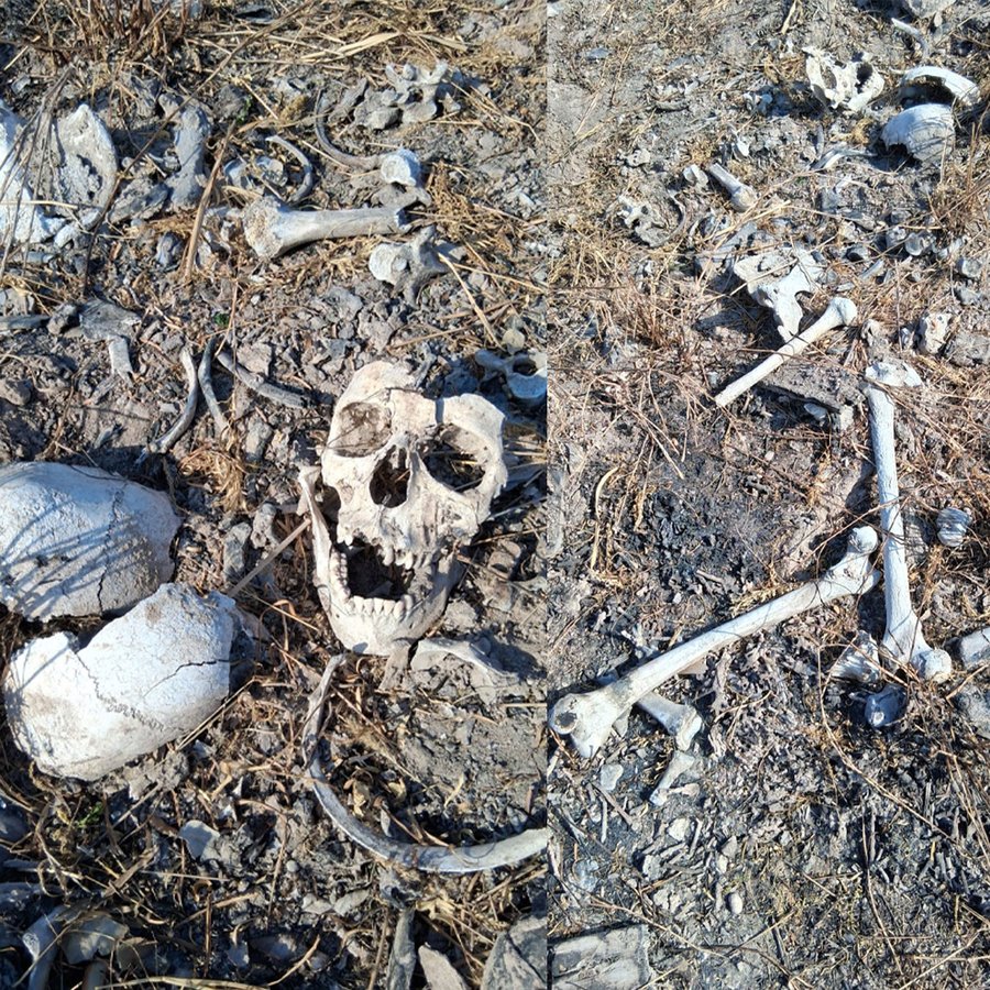 @PonchoAviles tweet media