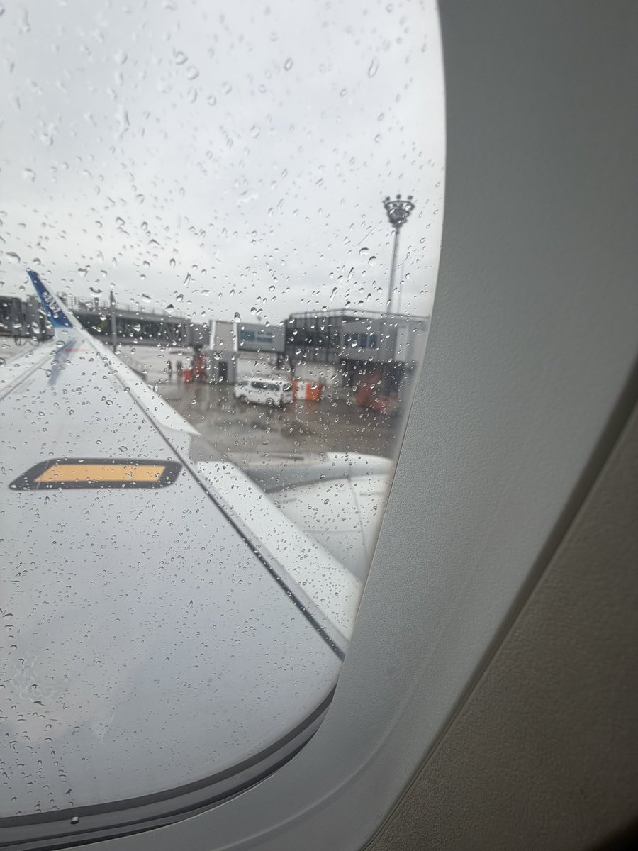 payarifu's tweet photo. ワクワクな旅の出発🛫
安定の雨だけど🤣☔🐉 https://t.co/w6TUVpboxy