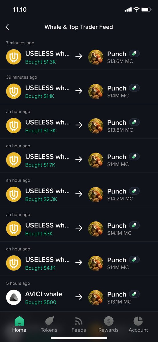 Gasgilsxyz's tweet photo. Lets go $PUNCH https://t.co/E3qR2olr8L