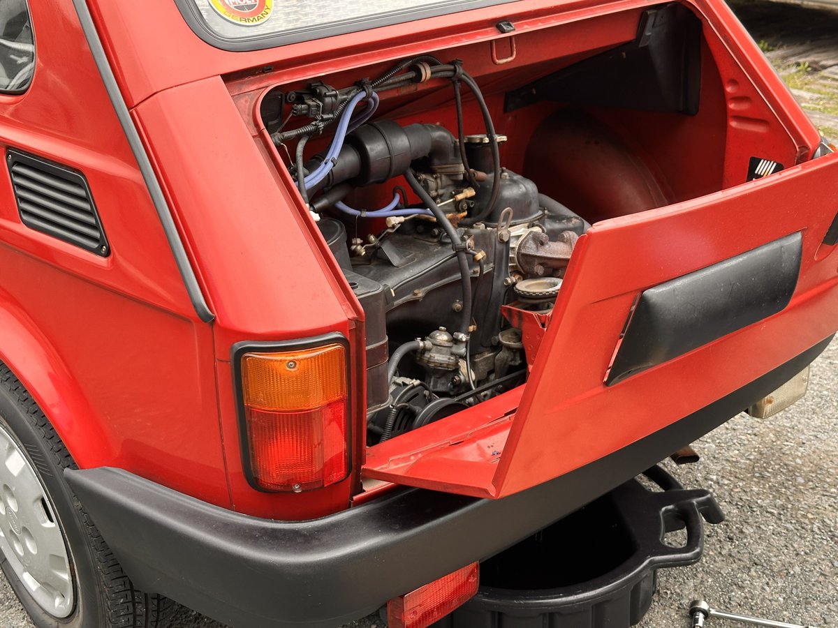 ぽな粉 tweet media