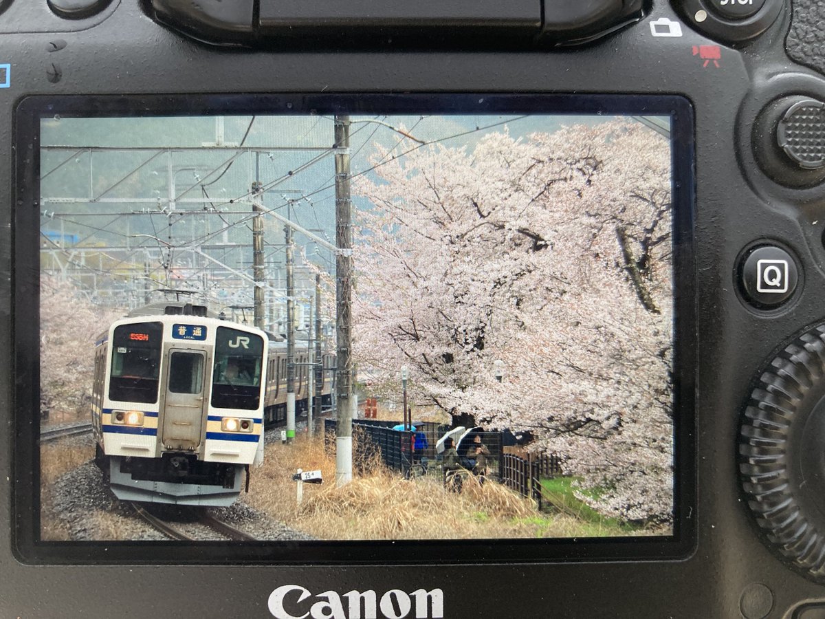 オレンジピール tweet media