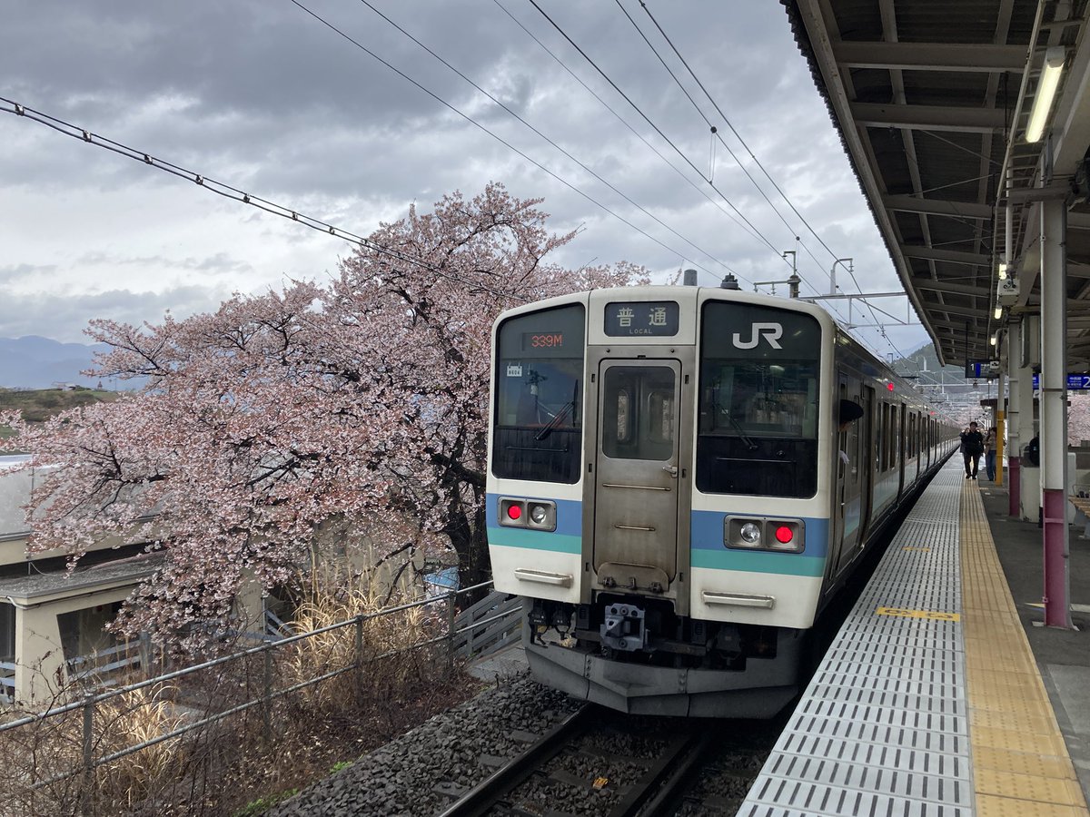 オレンジピール tweet media