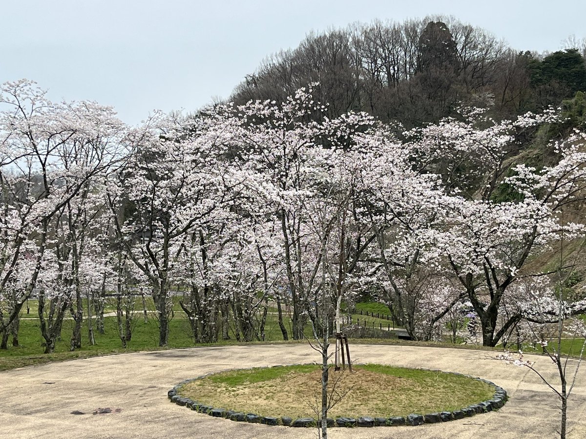 ほさか@キタケな性格 tweet media