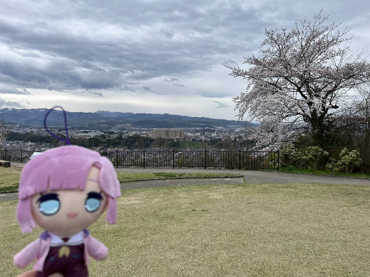 ほさか@キタケな性格 tweet media