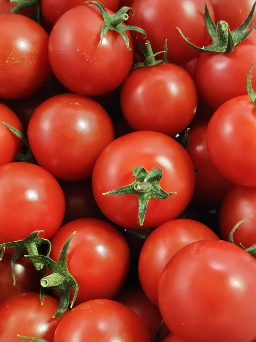 カール高橋 tweet media