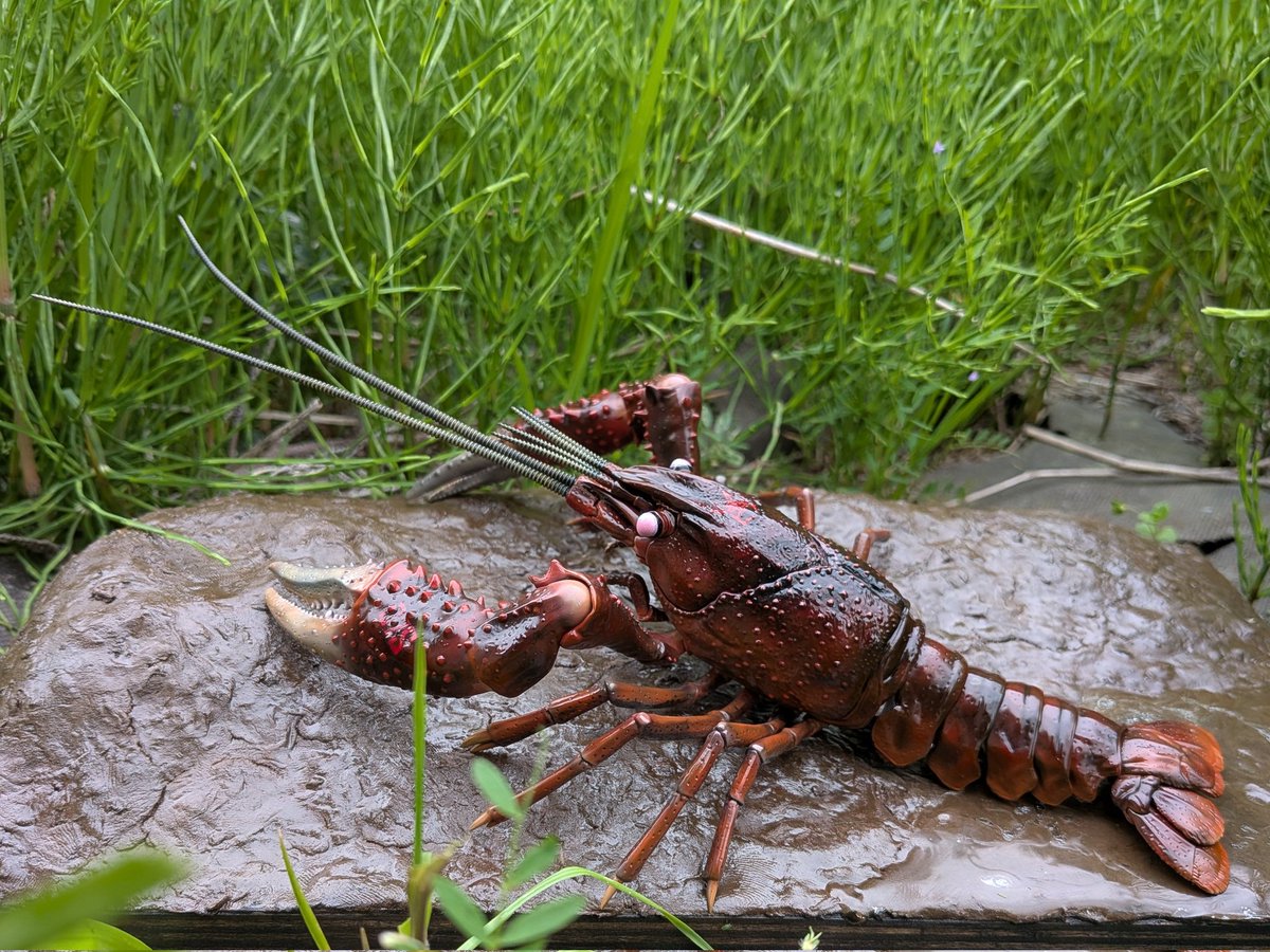 「 シャアザリ 」作ってみました😆

#模型 #プラモデル #ザリガニ 
#アメリカザリガニ #フジミ模型 #自由研究シリーズ #ジム #ジャブローに散る