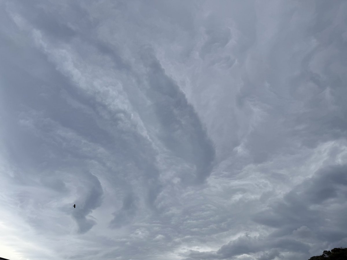 みなみ🐬✨💐 tweet media