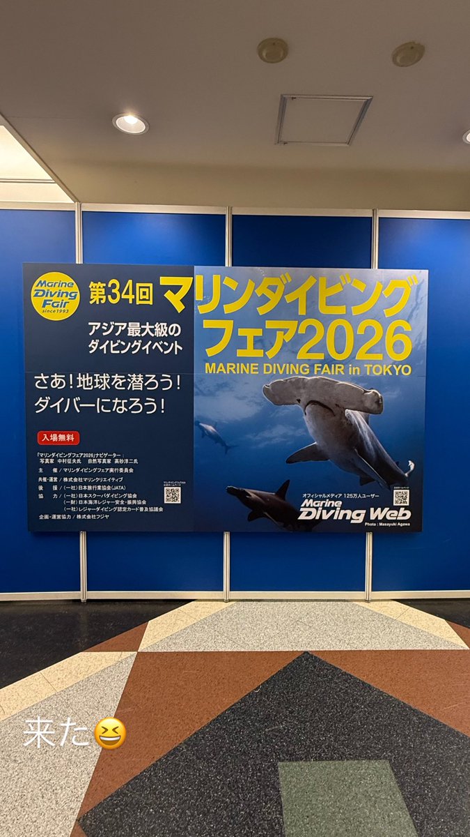 ocean diving（O） tweet media