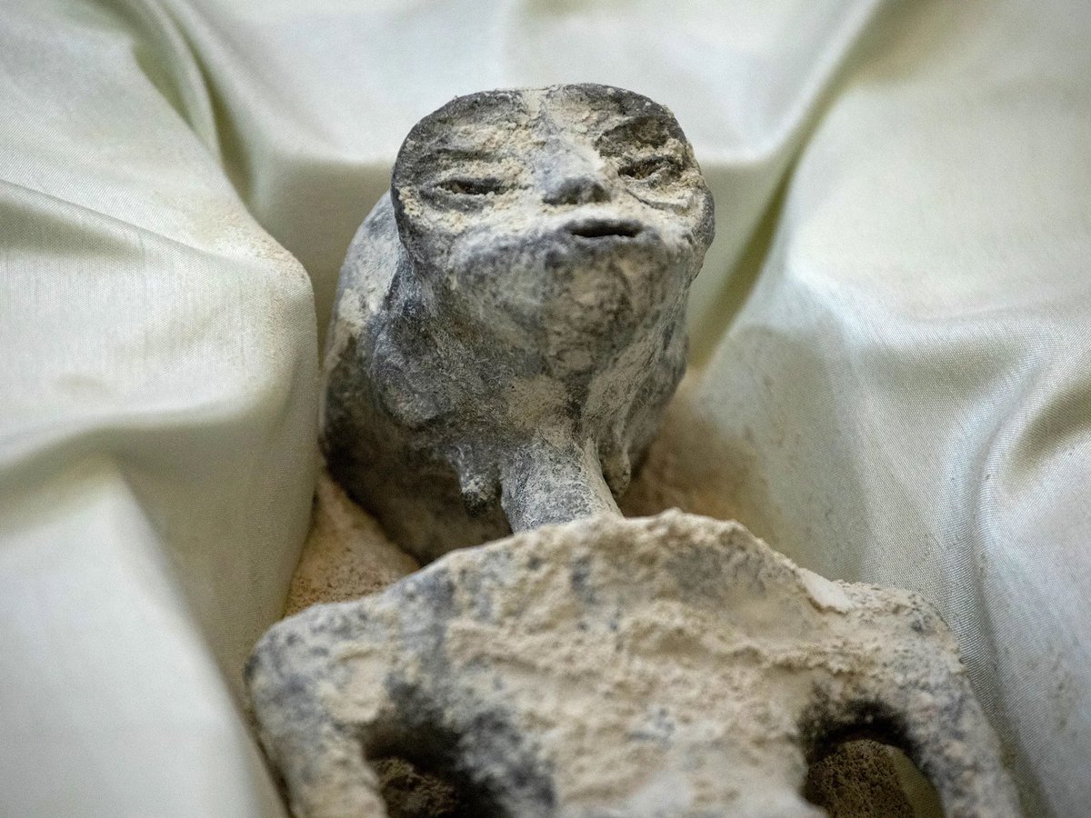 American Murph🤍🔳 tweet media