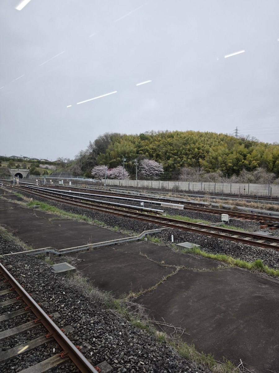 おかきゅう tweet media