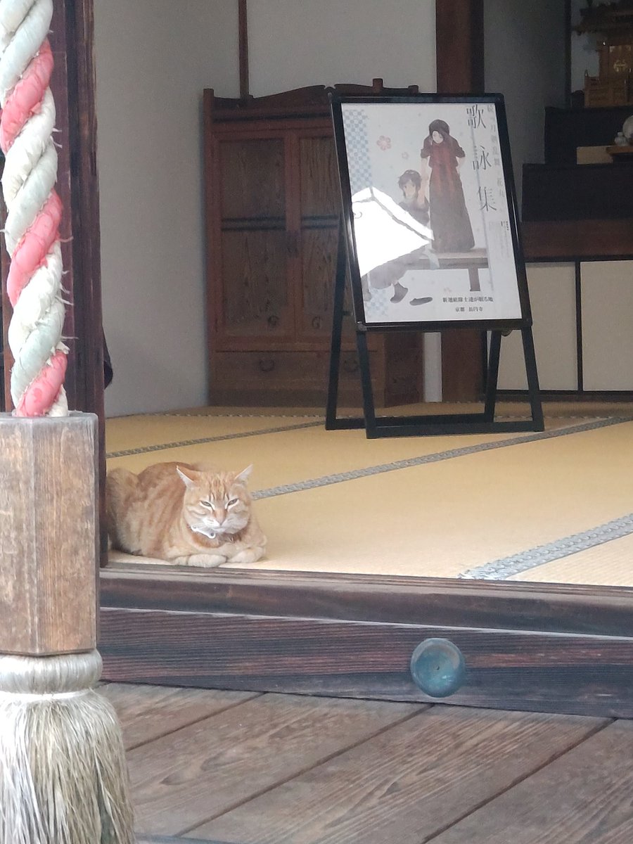 長円寺(新選組ゆかりのお寺) tweet media