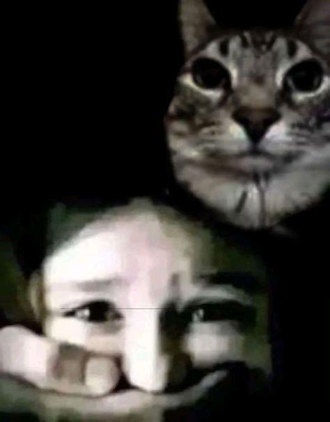 moonglow tweet media