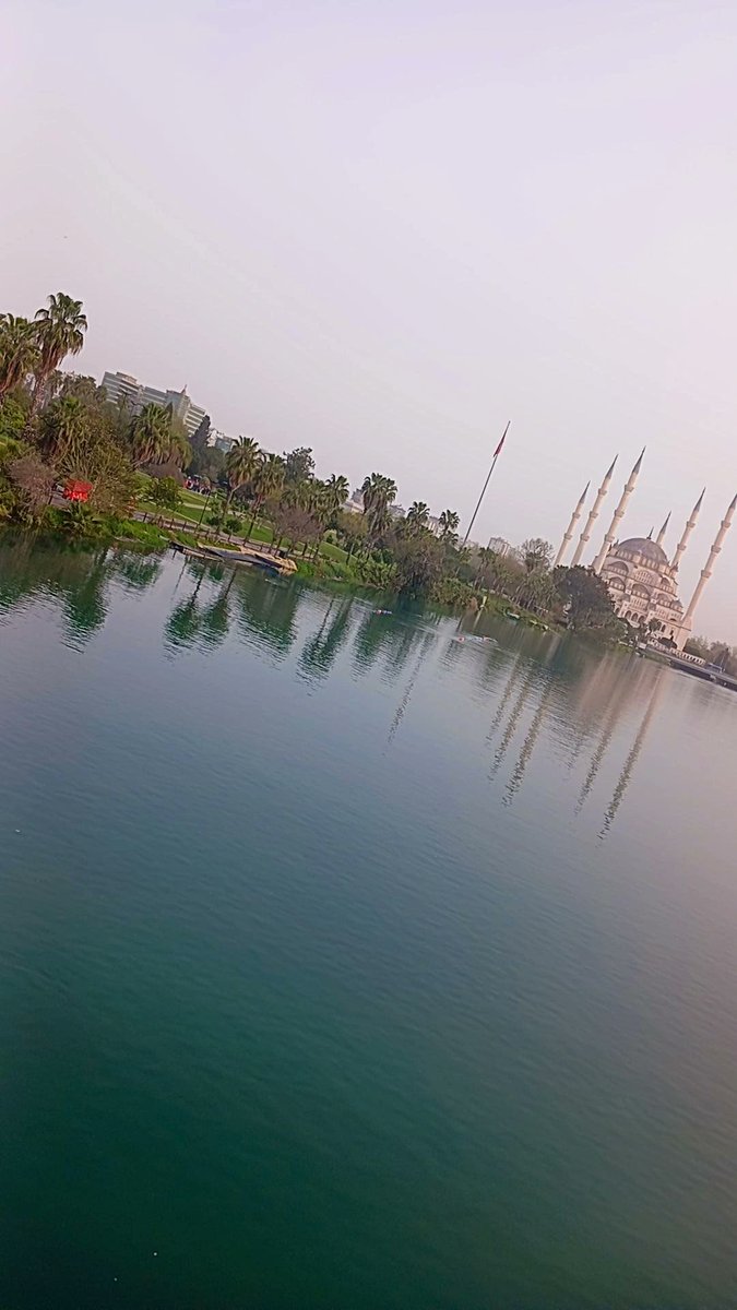 Ayşe YILMAZ tweet media