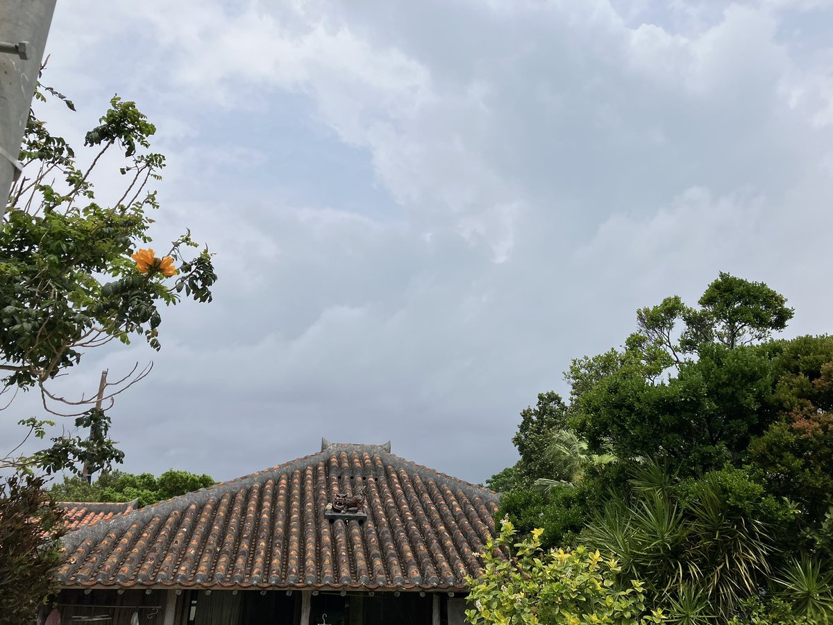 竹富島の雑貨屋🏝若竹丸⛴ tweet media