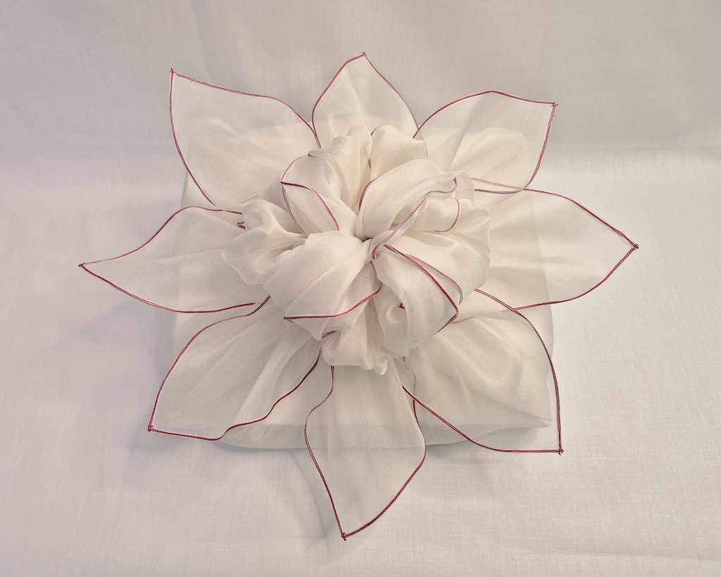 박집사(하찌) tweet media