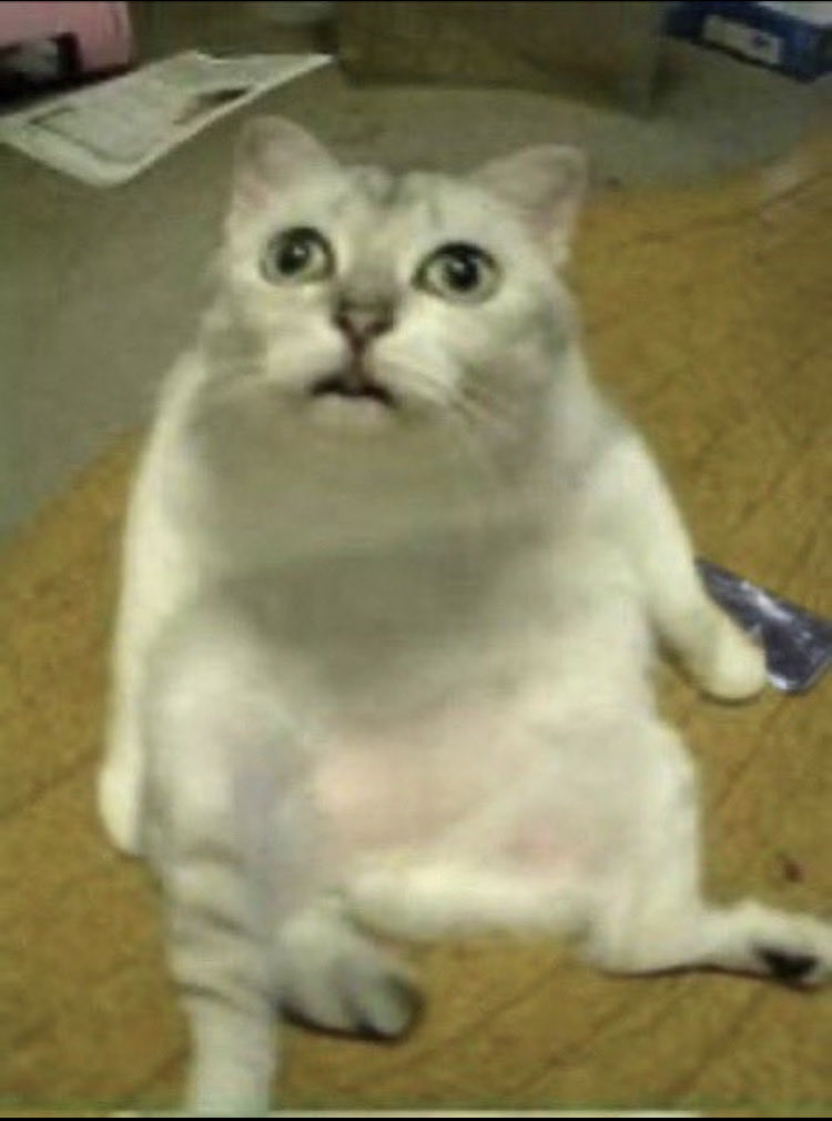 ァ!!!!!!!!!!!!!!!!!!!!!!!!!!!!!!!!!!!!!!!!!!!!!!!!! tweet media