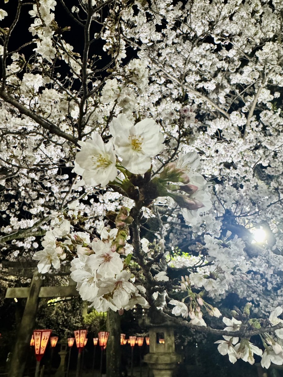 そーた tweet media