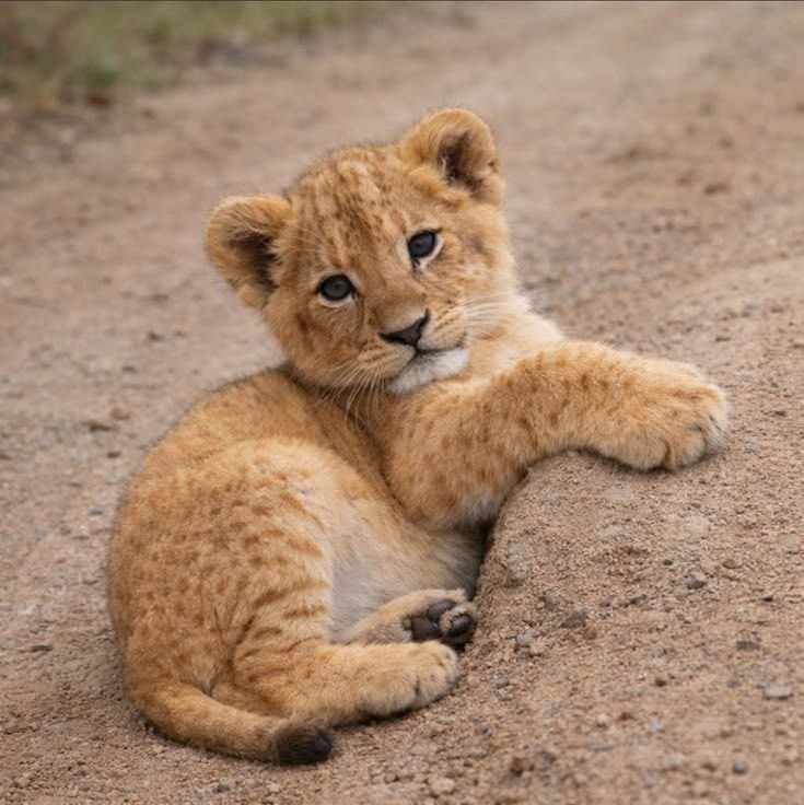 O_ops! 💌 tweet media