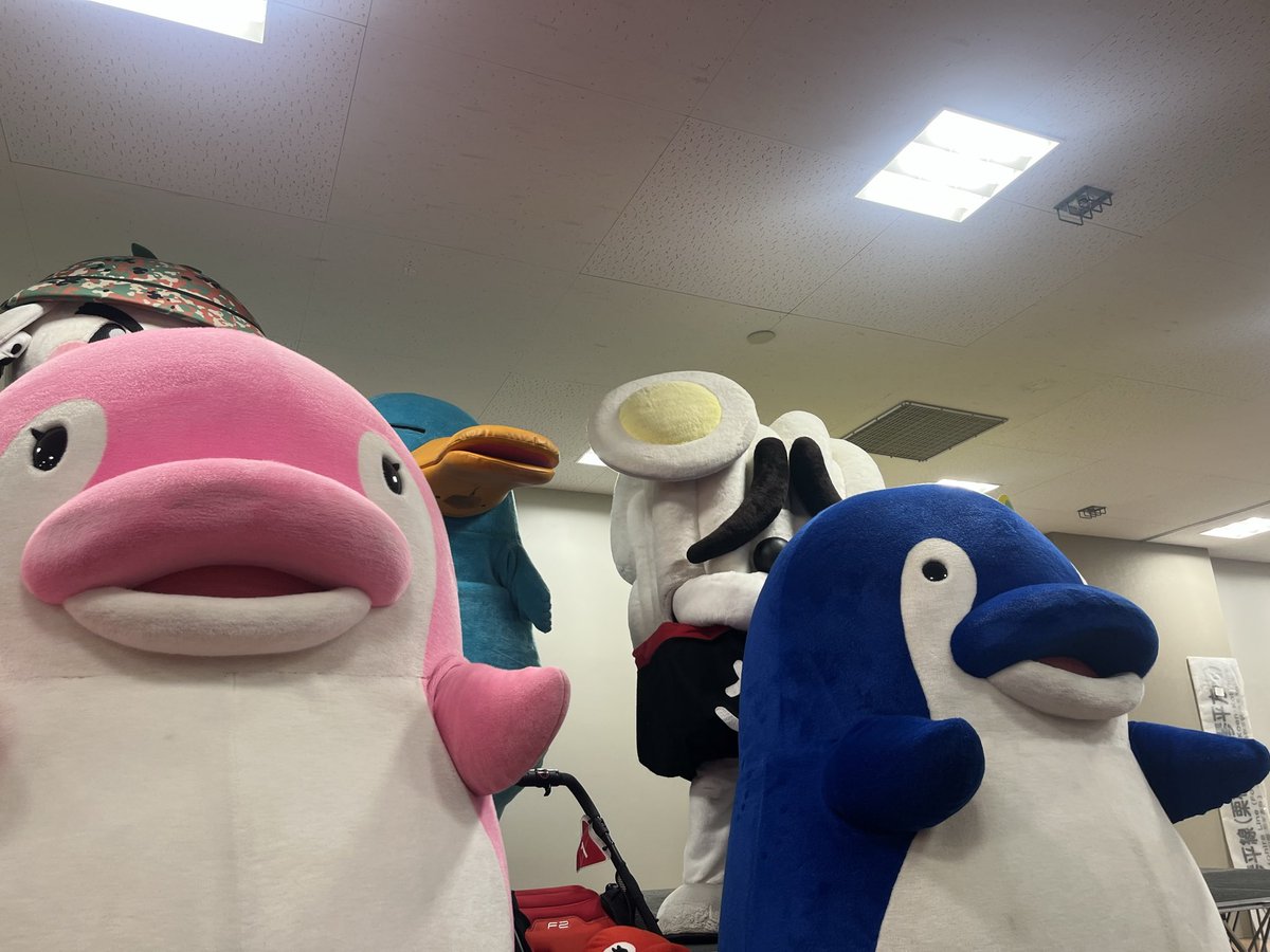 ゆたーん tweet media
