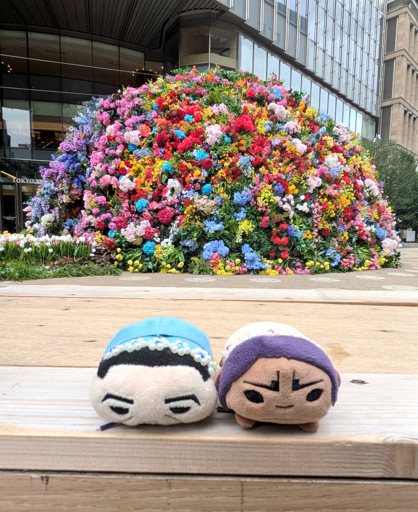 もちぴー💪(もちくら) tweet media