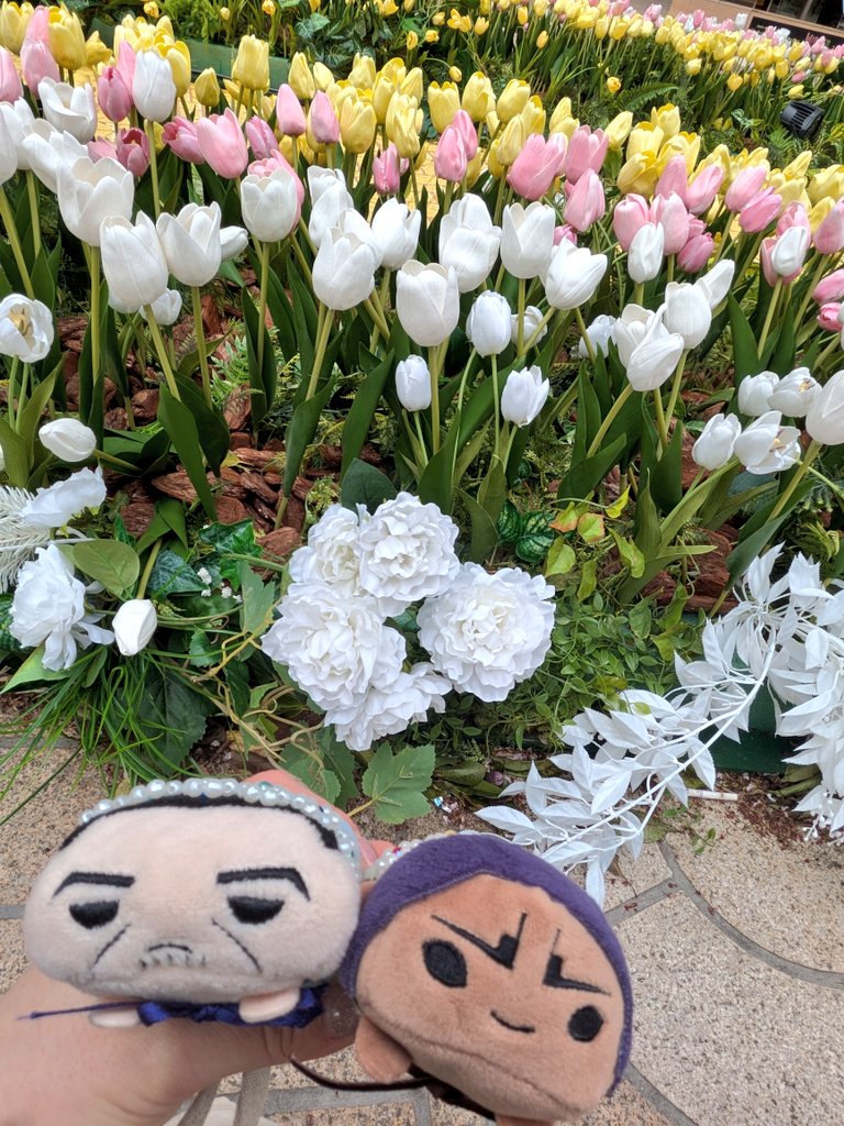 もちぴー💪(もちくら) tweet media