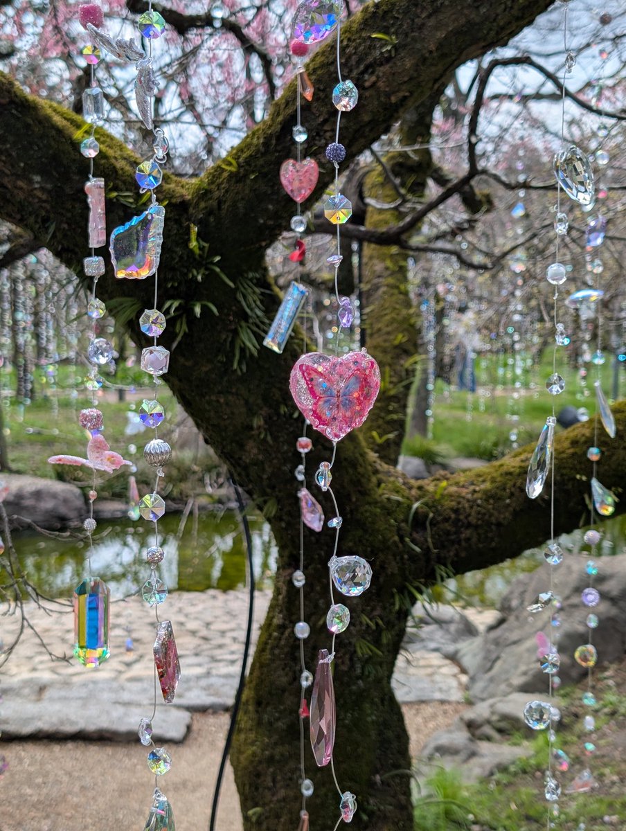 本日、遂に2回目めの茶会✨
キラキラ摂取できてしあわせ…💕
#KNF2026