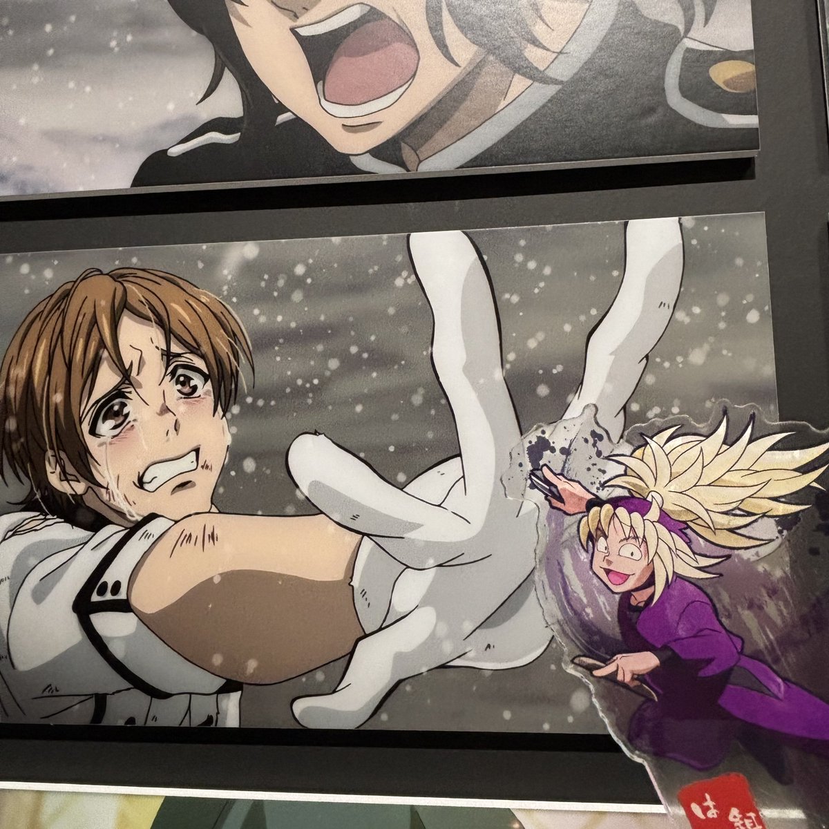 ちゃむ🐾 tweet media