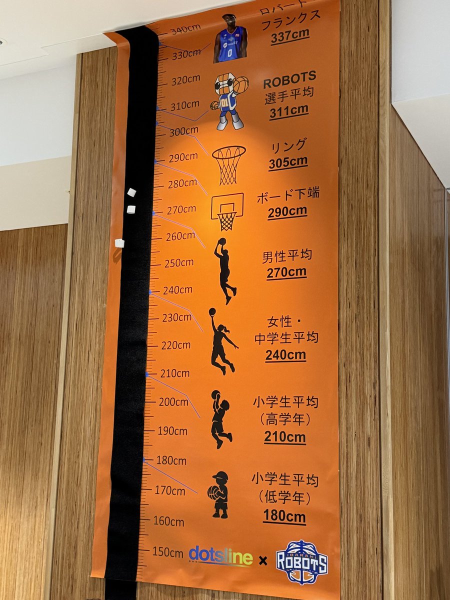 basketbakahiro's tweet photo. リング下2m90cmすら届かなくなってて運動不足と衰えを感じた😇
まぁ元々バレージャンプで高さを稼いでたから助走なしは跳べないんだけどさ😂
サイン入りTシャツ欲しかったなぁ〜
#茨城ロボッツ
#dotsline https://t.co/CmKrBCoy3t