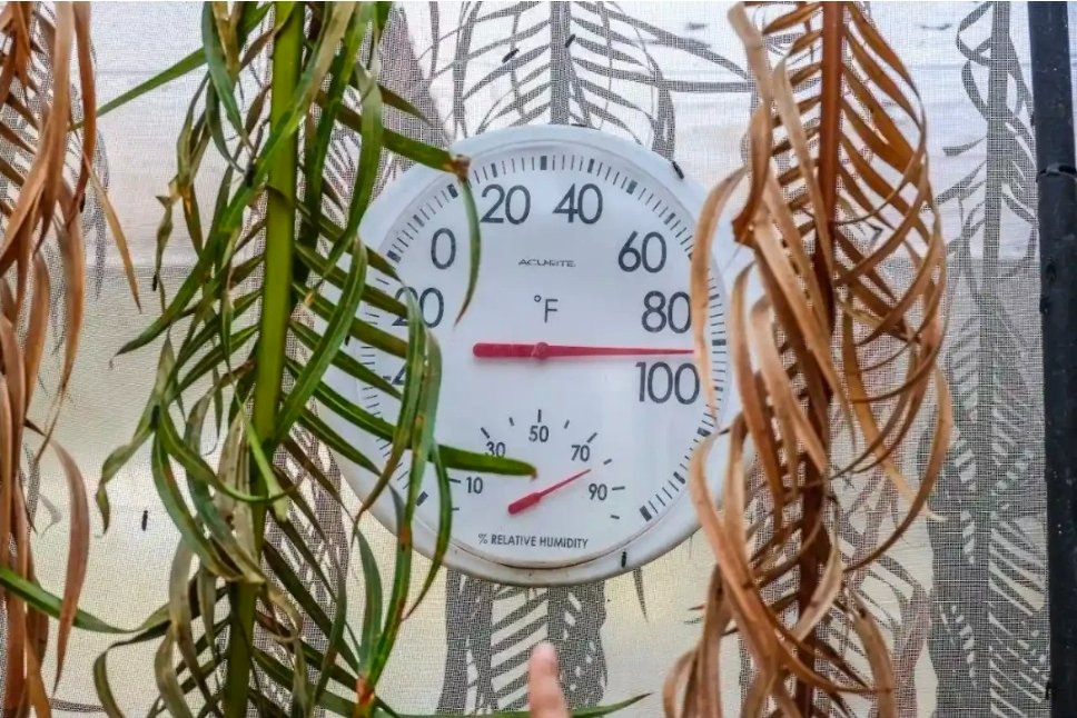 La Inventadera tweet media