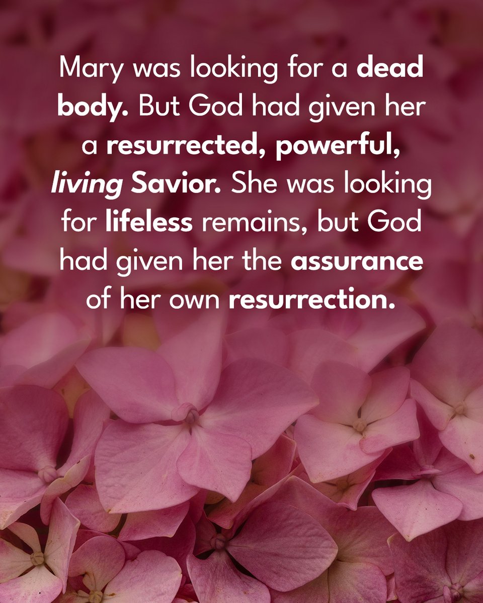 Leading The Way tweet media