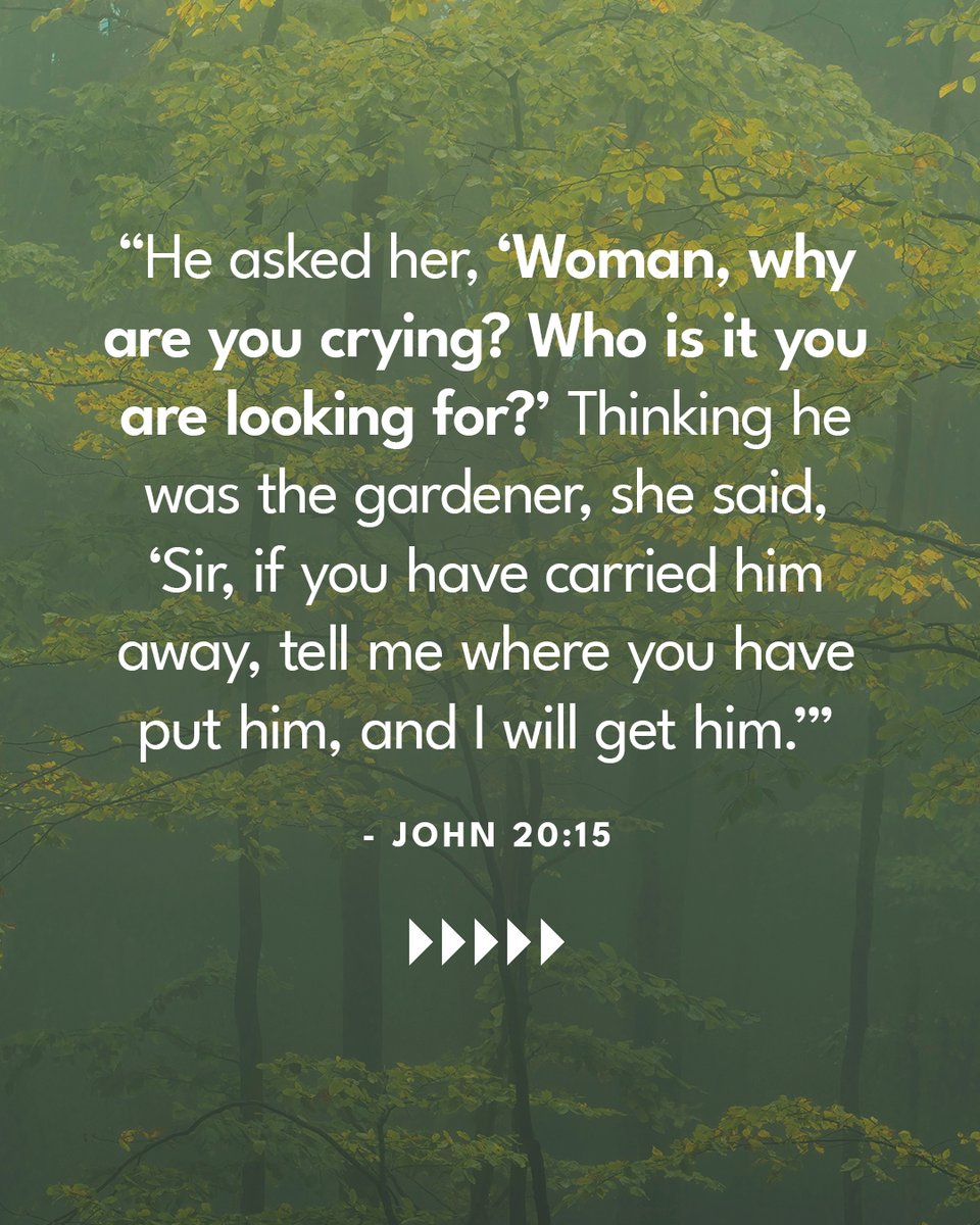 Leading The Way tweet media