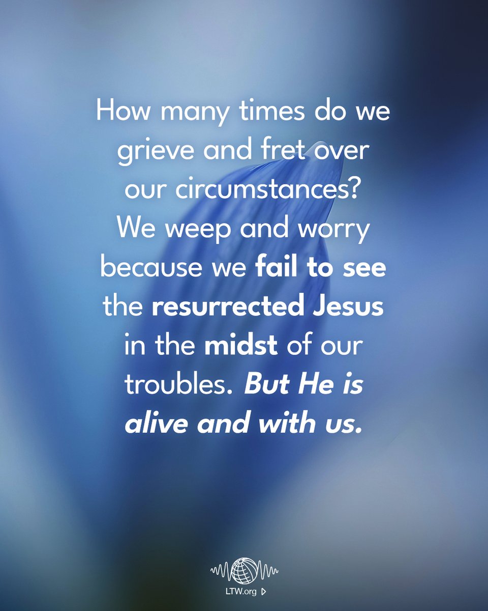 Leading The Way tweet media